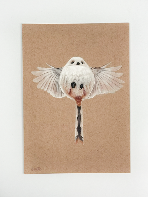 Kunstdruck - Eintagsfliege - Schwanzmeise