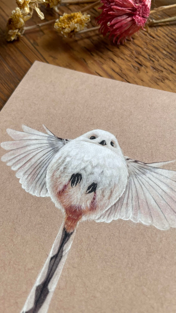 Kunstdruck - Eintagsfliege - Schwanzmeise