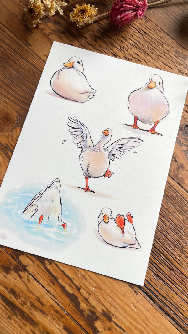Kunstdruck - Eintagsfliege - Gänse