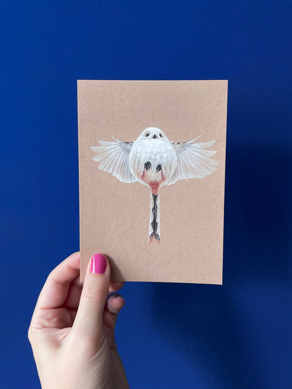 Kunstdruck - Eintagsfliege - Schwanzmeise